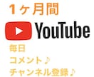 Youtube】あなたのチャンネル1ヶ月宣伝します Youtuber応援【毎日コメントや登録者増えるまで宣伝】 イメージ1