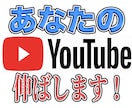 あなたのYoutube徹底的にコンサルします 登録者数2万人超の現役Youtuberがあなたの戦略を伝授 イメージ1