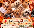 想いが伝わるチラシ・フライヤーを制作します イベントや店舗の魅力を、丁寧なデザインで形にします イメージ2