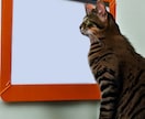 猫のホワイトボードを販売しています WEBサイトなどで、お知らせ用掲示板にご利用ください。 イメージ3