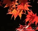 電話占い⭐️【ツインレイン】お相手様の気持ち視ます 複雑愛・復縁・秘密の恋・サイレント・占います イメージ5