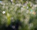 臨時☆あなたの周りの困ったさん対策を姓名判断します むぎむぎ２２２さんへの臨時メニューです イメージ1