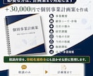 持続化補助金にも活かせる事業計画を立案します 本格経営相談＋必要なら個別事業計画案まで⁉ イメージ5
