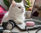 10分ほどの動画を1分ほどに編集、テロップ入れます 動画編集丸投げ！編集作業が追いつかない方へ。要点まとめます。 イメージ1