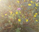 モラハラ旦那のトリセツ教えます 地獄から抜け出した嫁&人間(*^^*) イメージ1