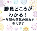 勝負どころがわかる！一年間の運気の流れを教えます 生年月日でわかる運気（バイオリズム）を10色で表現しています イメージ1