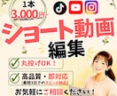 インスタ・YouTubeショート動画丸投げできます 高品質・即対応。初心者でも安心のサポート対応 イメージ1