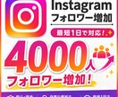 Instagramの外国人フォロワーを増やします 9月までの特別価格でご提供⭐️ イメージ2