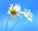 もしも　鬱だと思ったら　悩み相談します グーグルで解決できないことはありますか？ イメージ1