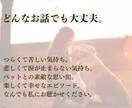 ペットロス専門☆愛するペットのお話、すべて聴きます ペットロス経験者・現役カウンセラーの私が、すべて受け入れます イメージ8