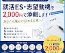就活ES・志望動機・自己PRを添削します ES・志望動機・自己PRを丁寧に添削。 イメージ1