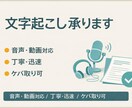 音声・動画の文字起こしを丁寧に対応します 会議・インタビュー・動画音声など幅広く対応可能です イメージ1