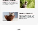 PC、スマホ対応のコーディングをします ~レスポンシブ対応サイトを費用を抑えて制作致します~ イメージ2