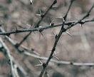 悪縁の糸｜犬猿の仲の原因を「ご縁」から紐解きます なぜ私が標的に？｜理不尽な人間関係における対策を練ります イメージ3