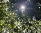 遠隔レイキヒーリング送ります 靈氣＝レイキ　　愛と調和、癒しのエネルギー イメージ4