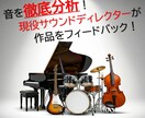 コンペに勝つ！再生数を稼ぐ♪音を徹底分析します 作品をプロが評価し、的確なフィードバックをご提供 イメージ1