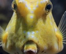 メルカリ出品を効率化ツールを提供します おオプションも豊富に提供、オリジナルの機能作成も可能です イメージ1