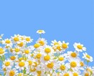 悩み、愚痴、どんな些細な事でも聞きます ただ誰かに聞いてほしい。短い時間でも大歓迎です☾ イメージ1