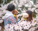 出張撮影（東海）で特別な1日を記録します SNS、プロフィール写真、家族写真まで幅広く対応します イメージ4