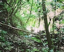 低山トレッキングの始め方教えます 何から始めたら良いか分からない方は特にオススメ イメージ1