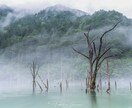 受賞歴のある写真家が写真の添削を行います 撮影から展示まで全て経験している写真家目線の添削です！ イメージ3