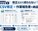 CSVの文字化け・形式エラーを修正します 開けない・取込できないCSVを使える形に整えます イメージ4