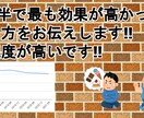 初回相談  コーチング前の初回相談をします ねこフガ流ダイエットの購入前相談になります。 イメージ2