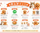 写真を加工【うちの子】LINEスタンプ作成します ワンちゃん　猫ちゃん　鳥さんほか　簡単LINEスタンプ作成 イメージ2