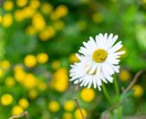 今だけ10枚で1000円！エモい画像を作成します 送って頂いた画像をエモく加工します。なるべく要望に答えます イメージ4