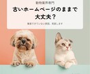動物業界専門｜集客できるホームページを制作します 猫ホテル運営×動物専門Webディレクターが設計します イメージ2