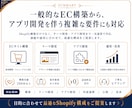 Shopify実績200件！ECサイトを制作します EC構築に加え、独自アプリ開発で「できない」を解決 イメージ5