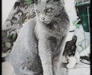 B5サイズ色鉛筆画を制作いたします 写真とはまた違った温かみのある作品を制作いたします。 イメージ4