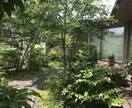 庭木の手入れについて、疑問や悩みを解決します 庭園の設計・施工・管理の業務を通じて、適切にアドバイスします イメージ6