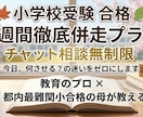 小学校受験！1週間チャット相談にて徹底伴走します 学習の迷いをゼロに！最難関小合格の母が1週間徹底学習サポート イメージ1