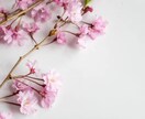 元企業受付＋役員秘書が暇つぶしにお付き合いします あなたの暇つぶしにとことん“りこ”をご利用ください♡ イメージ3