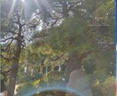 2026年メッセージタロットチャネリングで占います すぐにヒントがほしい❣41000回癒やし手が身体の声伝えます イメージ9