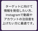 Instagramフォロワーを増やします Instagramの集客・フォロワー増加・宣伝拡散をサポート イメージ3