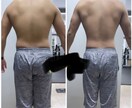 初心者専門！理想の体づくりをサポートします 理想の体になるための、オンライン家庭教師です！ イメージ3