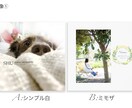 犬好きの方へ！写真アルバム製作します 小さめアルバム！とてもお得にわんちゃんのアルバム制作します♪ イメージ2