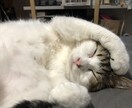 お悩み相談聞きます なんでも大丈夫です。気軽にご相談ください。 イメージ1