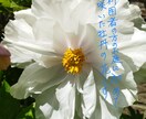 水曜日【２１～２３時】なんでもお話伺います なんか相談に乗ってくれる手ごろな友達のお母ちゃんです イメージ6