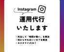 30日間インスタ運用代行いたします 忙しいあなた専用にカスタマイズ！まるっとOK！ イメージ1