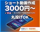 SNSで映えるショート動画を格安で制作します 最後まで見たくなるショート動画作成します。 イメージ1