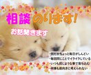 ココナラで使うサービス画像作ります 格安でたくさん作成させて、もらいたいと思っております！ イメージ6