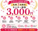 AI時代に埋もれないココナラ出品文を戦略設計します 250店舗のプロが伴走！あなたの価値を選ばれる理由へ翻訳 イメージ5