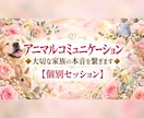 アニマルコミュニケーション大切な想いを繋ぎます 家族(動物)の本音・お空に旅立った子の想いを届けます❀ イメージ1