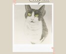 ペットの似顔絵描きます オーダーメイドでペットの似顔絵を水彩画で提供します。 イメージ6