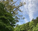 霊感ルノルマン⭐️『グランタブロー全展開』します 多角的未来予知⭐️お相手様の深層心理など♦︎鑑定でお悩み解決 イメージ9