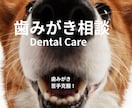 歯みがき苦手克服！歯みがき練習のコツをお伝えします 歯みがき苦手でもあきらめないで！デンタルケアお悩み相談☆ イメージ1