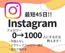 インスタフォロワー0→1000人にする方法教えます 最短45日で達成！閲覧数200万回突破の方法 イメージ1